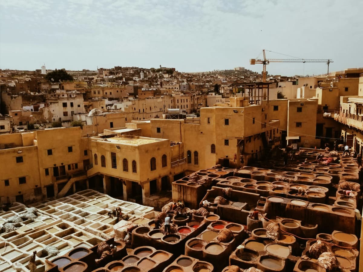 Guided walking tour of Fes Medina with Bab Boujloud and traditional souks