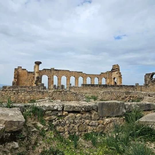 historic rumains volubilis meknas morocco